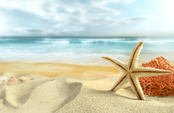 starfish-on-beach-600nw-71497795